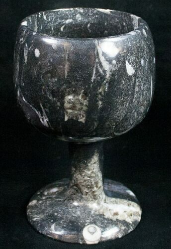 Fossil Orthoceras Goblet - Stoneware #11334